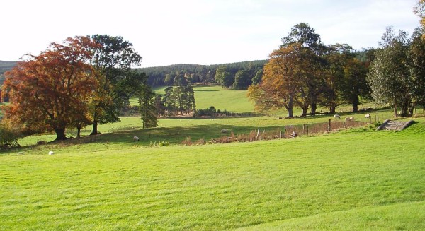 jak-wybrac-dzialke-budowlana