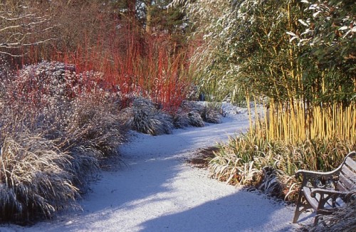 Jak przygotować ogród do zimy jak-przygotowac-ogrod-do-zimy